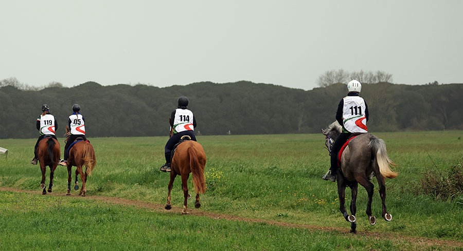 La finale MASAF: a Marina di Pisa batte il cuore del Cavallo Italiano 6 img 5588