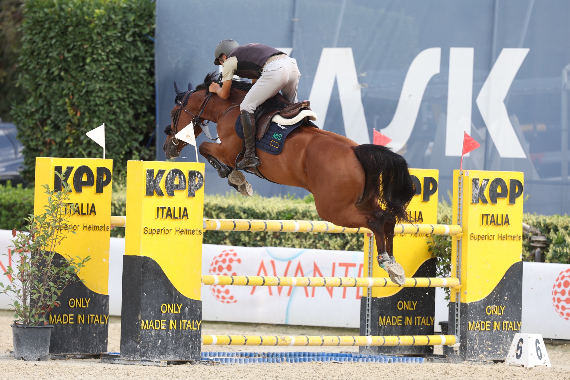 Finali Giovani Cavalli FISE Avantea: i risultati di sabato ad Arezzo 5 img 5692