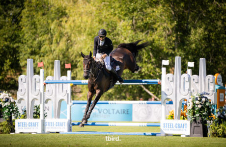 James Chawke domina il Steel-Craft Doors CSI3 Grand Prix*