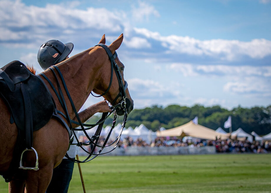 Open de France Barnes & Open de France Féminin – Polo Club du Domaine de Chantilly. 2 unnamed486