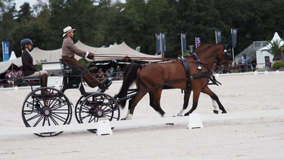 Gabriele Grasso: A Driving Force in the Making 2 26e1f260 5482 4492 b18e 4c3a5ae5b9e0 1