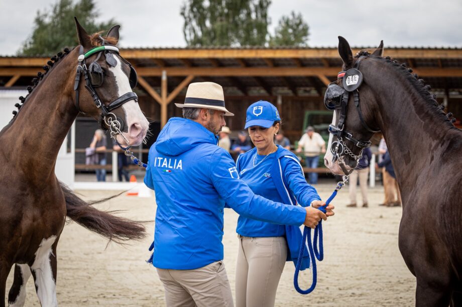 Attacchi a Lähden: la prova di dressage dei Mondiali di Para Driving e del CAIO per cavalli singoli 2 54763392290 71565e1ec9 o