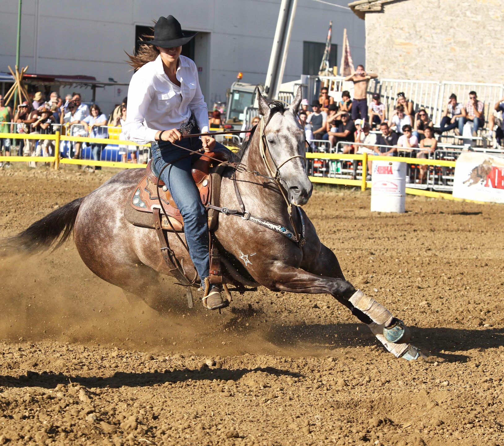 Presentata la 55^ Mostra Nazionale del Cavallo di Città di Castello 2 Cavallo repertorio