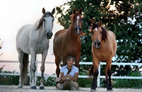 Sabato 13 e domenica 14 settembre a Città di Castello la 55^ Mostra Nazionale del Cavallo