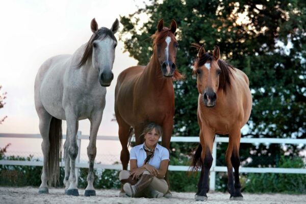 Sabato 13 e domenica 14 settembre a Città di Castello la 55^ Mostra Nazionale del Cavallo