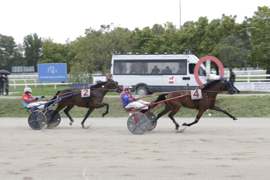 Nel venerdì di trotto all'Ippodromo SNAI San Siro Irenel Mail vince e fa il record della generazione dei 2 anni nel premio nel Premio Scuderia Luccio Zucchetti. 4 Corsa1 PREMIO SCUDERIA LUCCIO ZUCCHETTI