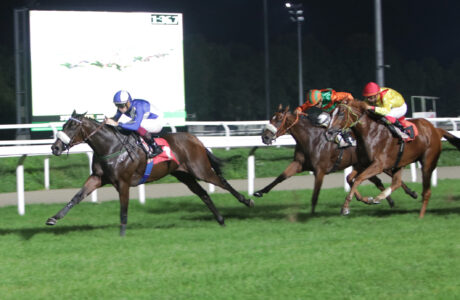 Corsa3_PREMIO PIETRO BESSERO - TROFEO IRISH THOROUGHBRED MARKETING_Arrivo