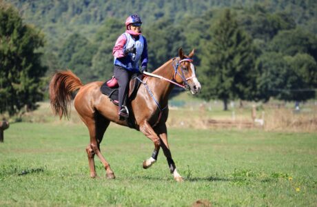 Endurance equestre, weekend di fuoco a Rocca di Papa