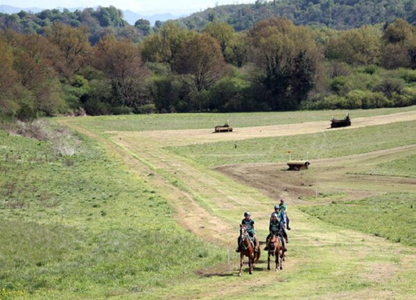Endurance mondiali 2025