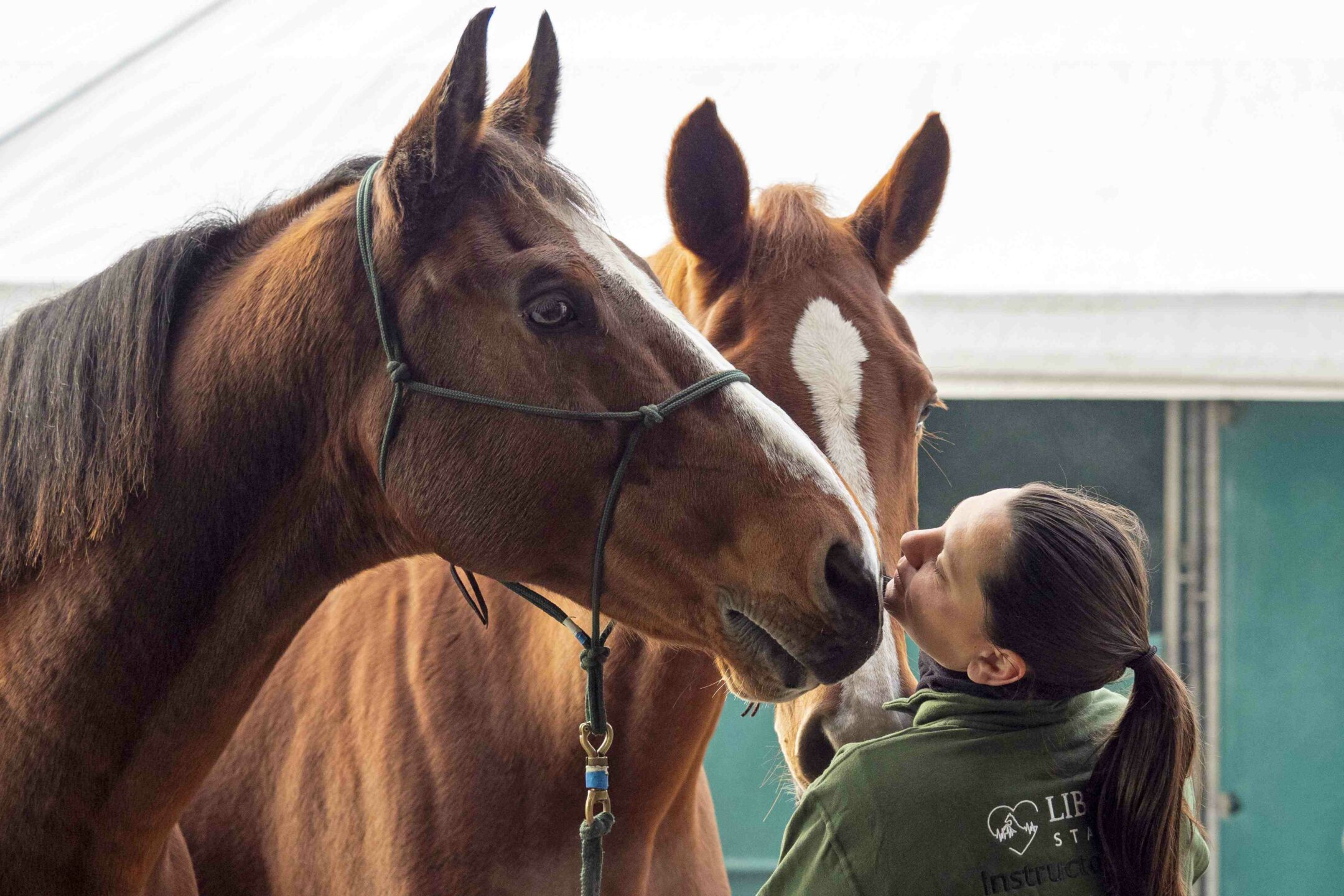 La biglietteria di Fieracavalli 2025 è ufficialmente aperta. 1 Verona Fieracavalli 2025, studio Tiss