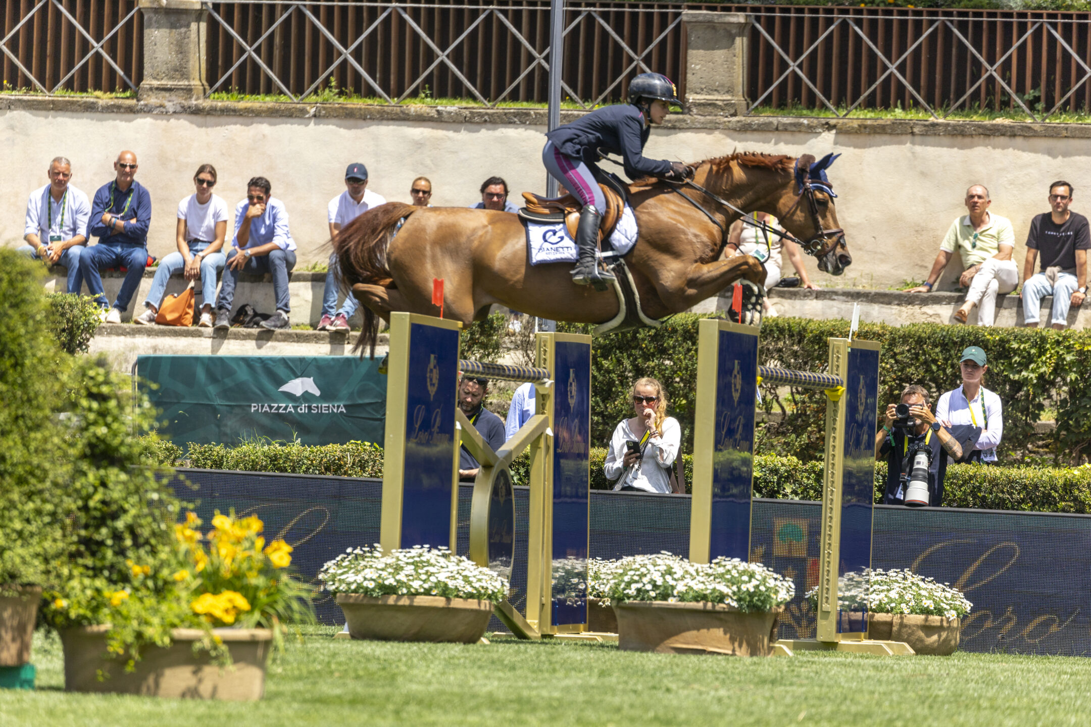 Intervista a Francesca Ciriesi: una vita a cavallo 1 Francesca Ciriesi ITA Cape Coral ROMA 20240526 SS353896