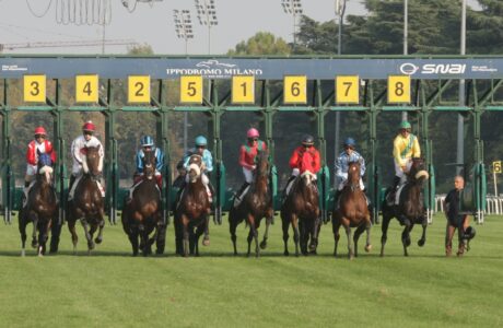 IPPODROMO SNAI SAN SIRO GALOPPO_Gabbie Partenza Corse_Foto Dena - Snaitech