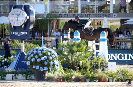 Julien Epaillard & Donatello d'Auge ©Ecary