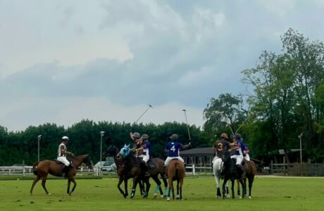 Magenta Polo Grand Prix 1 e1757931095741