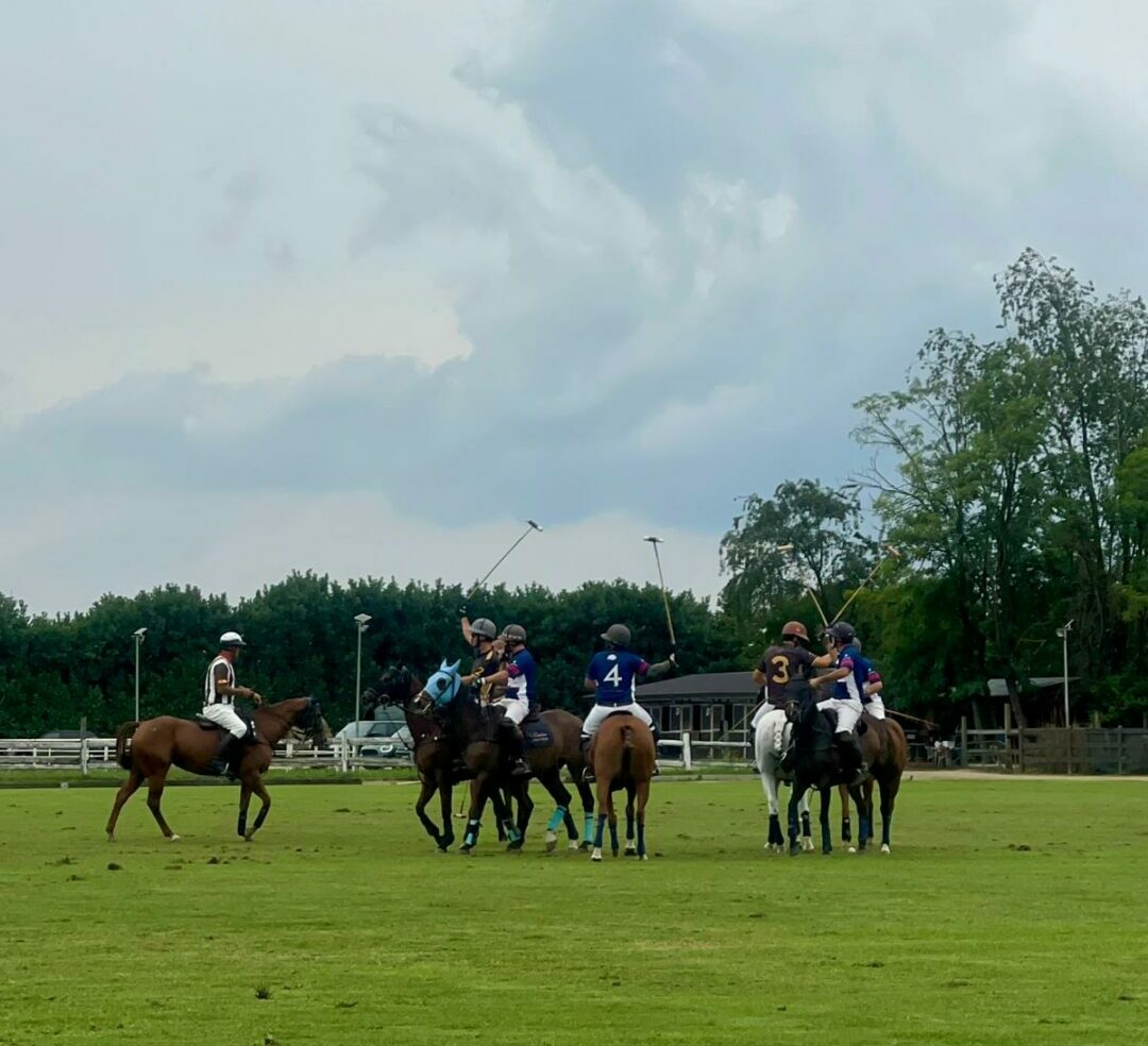 Magenta Polo Grand Prix 1 e1757931095741