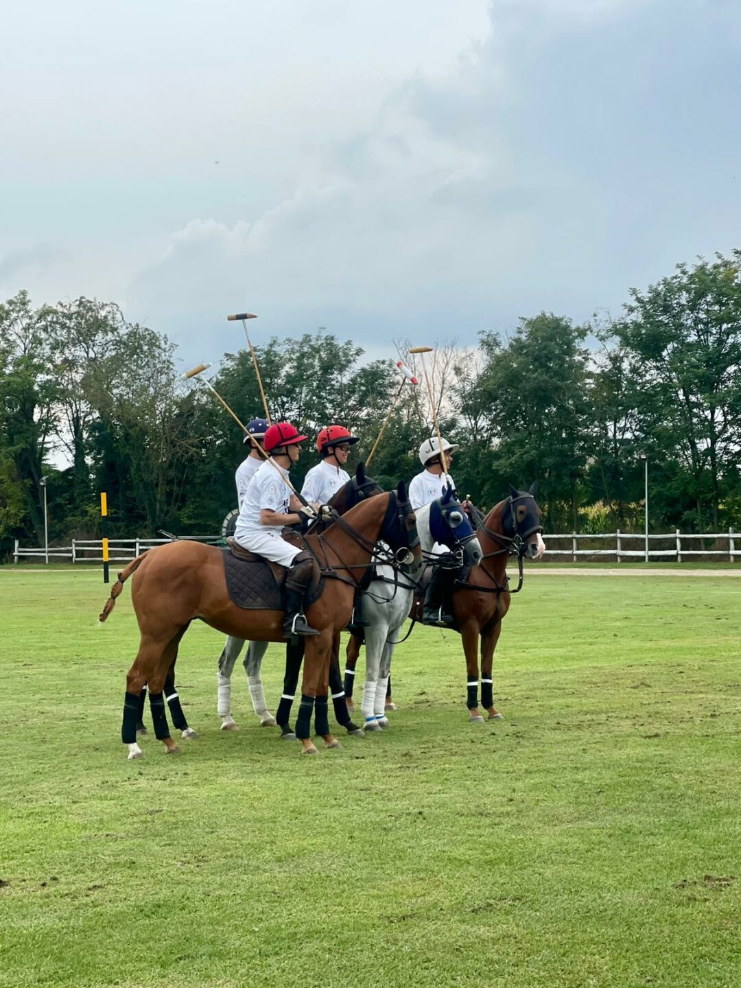 Magenta Polo Grand Prix 2 1