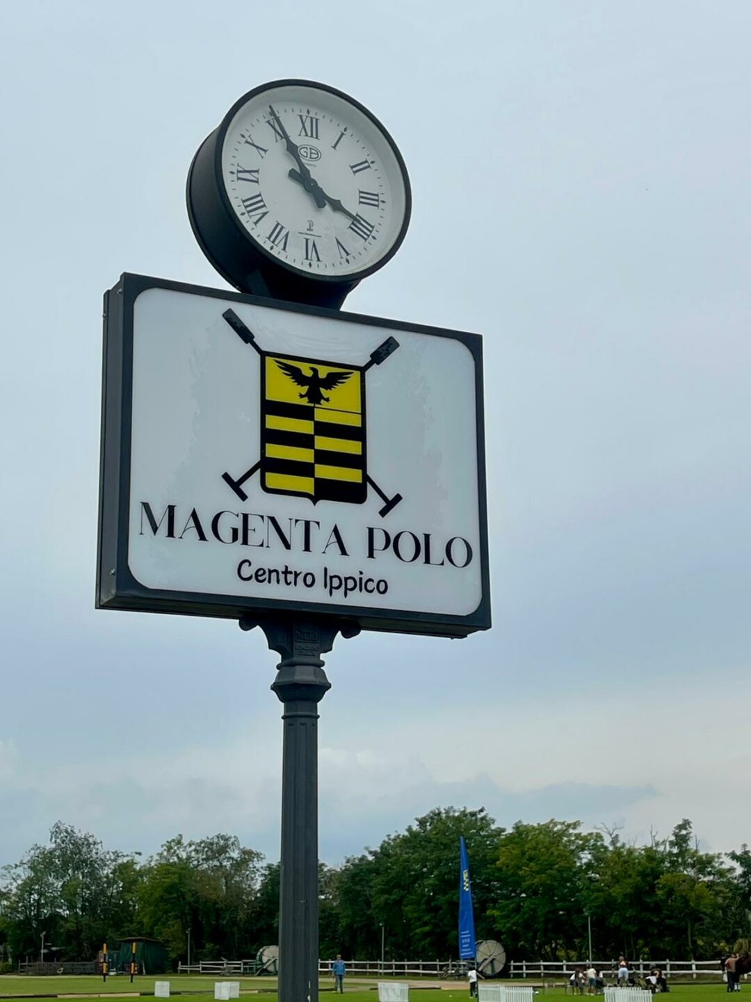 Magenta Polo Grand Prix 3 1
