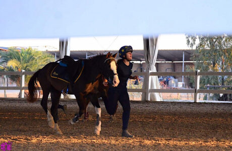 Mounted Games