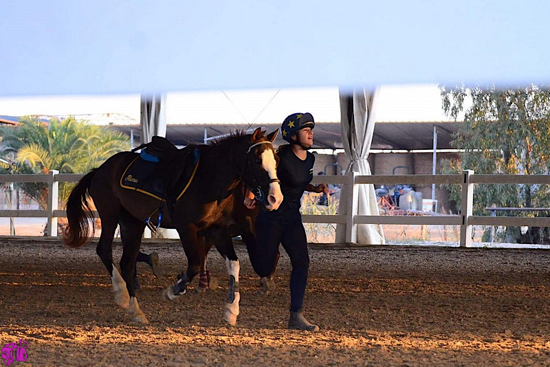 Mounted Games: la IV tappa del Trofeo Sperimentale arriva a Cerveteri 1 Mounted Games