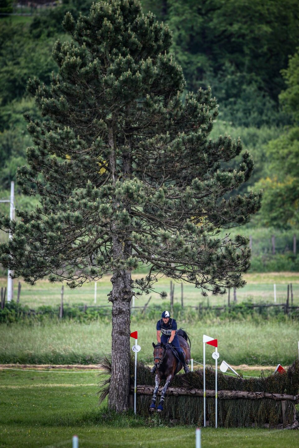 Palmanova, weekend di grande sport tra mura stellate 1 alessio proia con Athena ai Pratoni del Vivaro completo