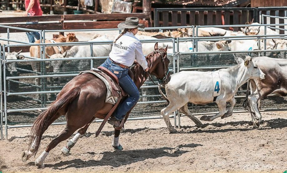 Ranch sorting