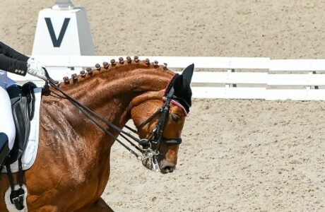 Perché l’equitazione è fondamentale nell’allenamento sportivo