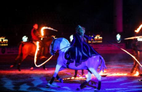 Fieracavalli Verona 2025