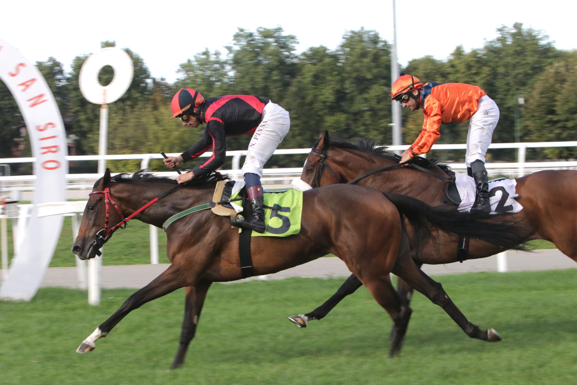 Galoppo all’Ippodromo Snai San Siro: Thin Be The Glory e Well Again protagonisti della 33ª giornata 1 img 6623