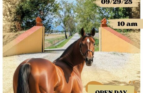 Rassegna Internazionale del Cavallo Trottatore di Allevamento Italiano