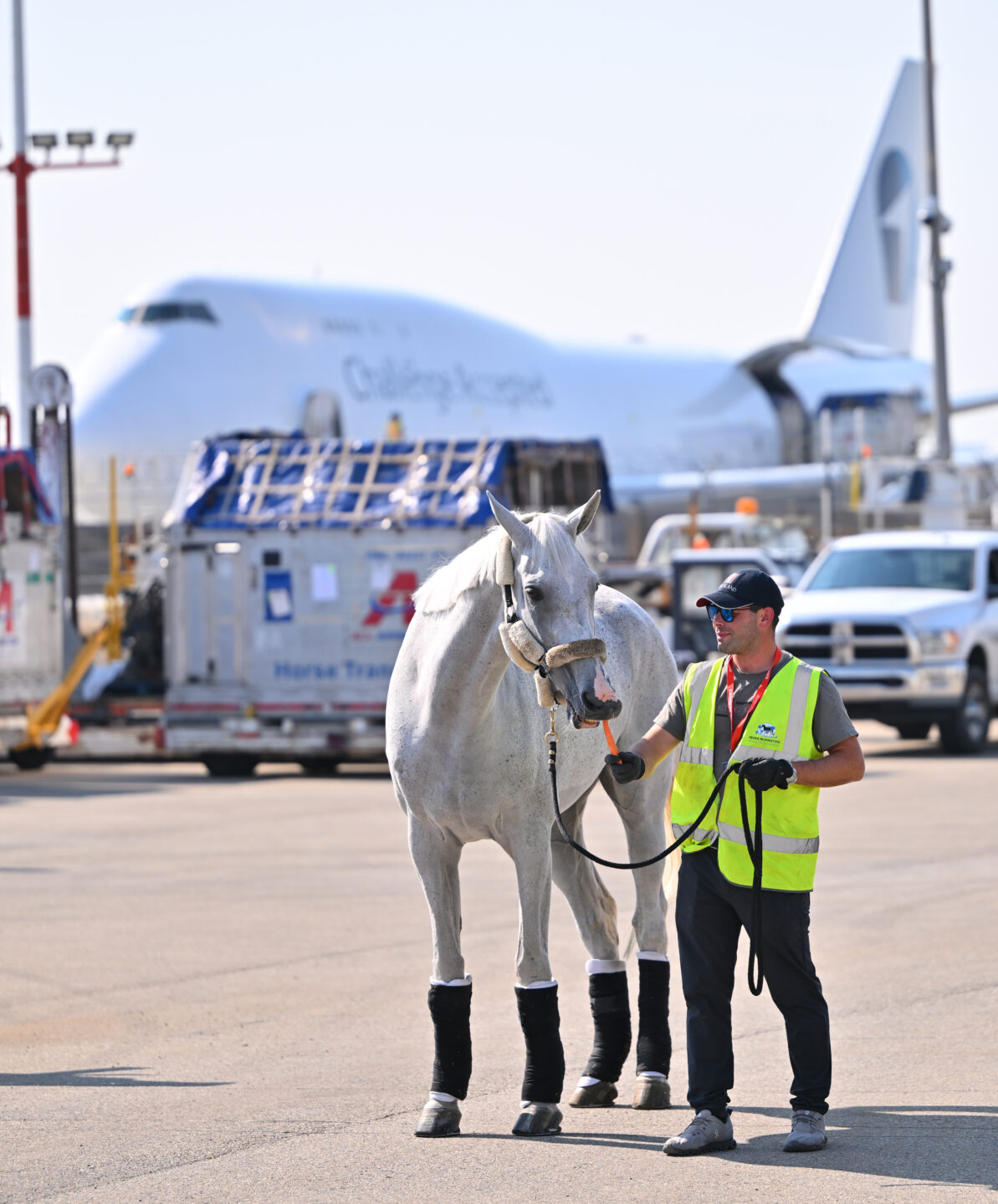September 1, 2025 (Calgary, AB)—A SECOND Boeing 747 delivered 47 equine athletes to YYC this morning, meaning a record 98 total horses have now arrived from Europe in Calgary to compete in the 50th Anniversary Spruce Meadows ‘Masters’. 1 sean and leone jei