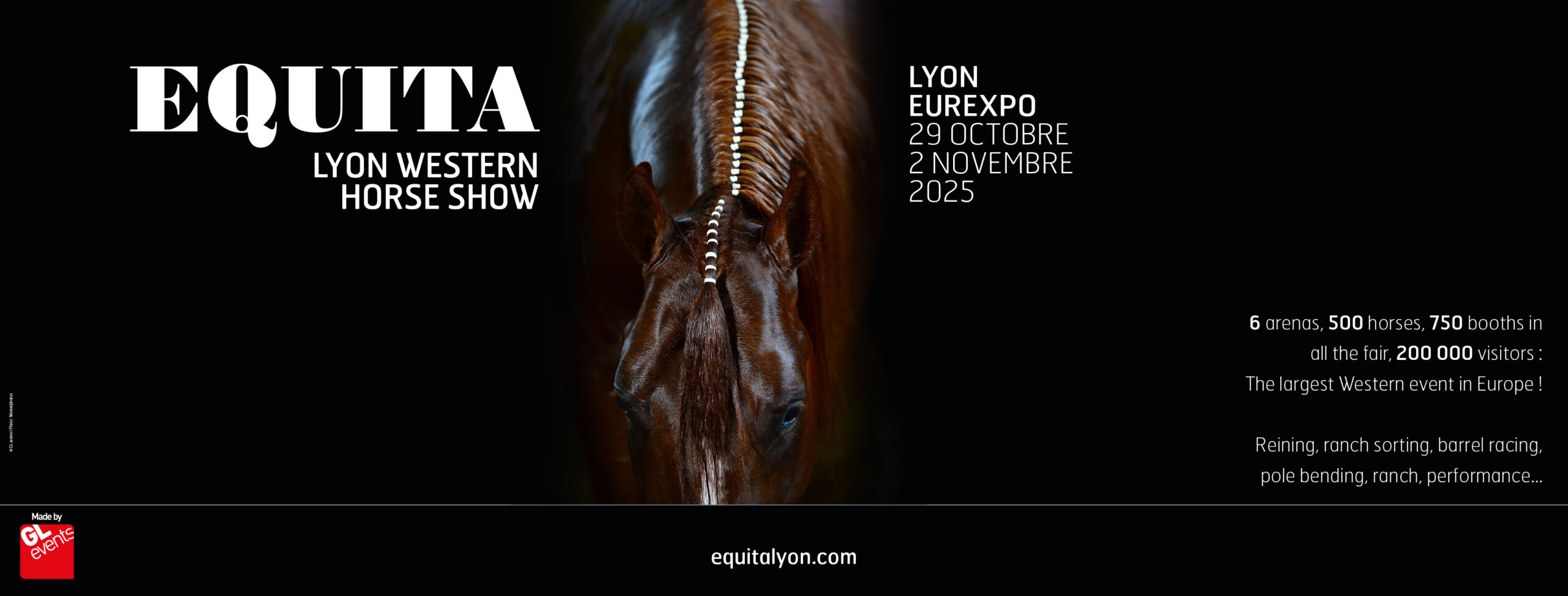 Equita Lyon Western Horse Show: il Reining internazionale protagonista a Lione