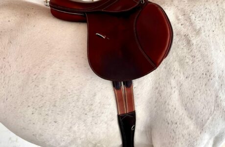 Il segreto di un cavallo felice: la corretta misura della sella con Daniela Treiber di Made To Fit 1 0b7a2ee6 182b 4582 a8fb 5aae9c5efdb7