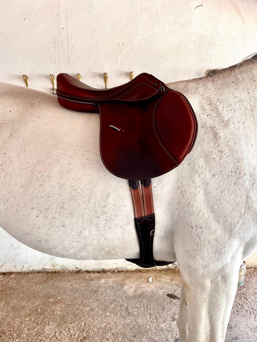 Il segreto di un cavallo felice: la corretta misura della sella con Daniela Treiber di Made To Fit 1 0b7a2ee6 182b 4582 a8fb 5aae9c5efdb7