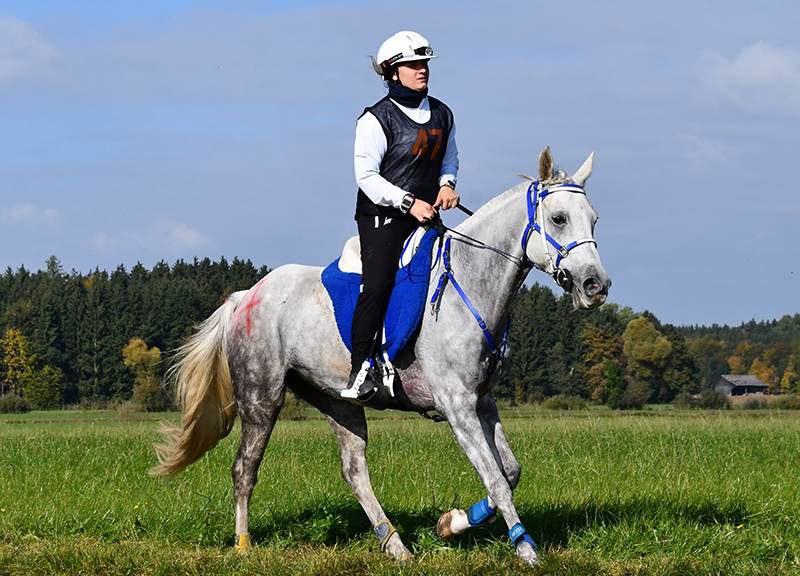 L'endurance è pratica dura ma ti ripaga ampiamente, parola di Guenda Galli, esperienza in Bavaria. 2 18