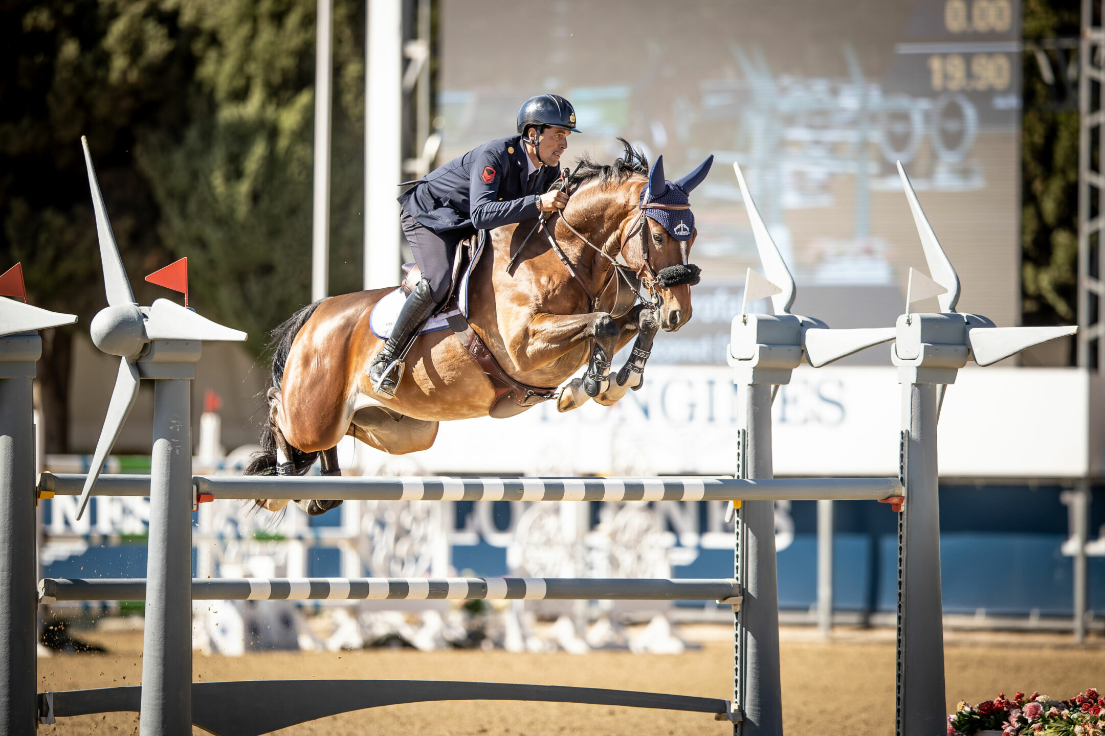 Giampiero Garofalo trionfa nel Small Grand Prix di Vejer con “Mister Coconut”. 1 Giampiero Garofalo trionfa nel Small Grand Prix di Vejer con “Mister Coconut”