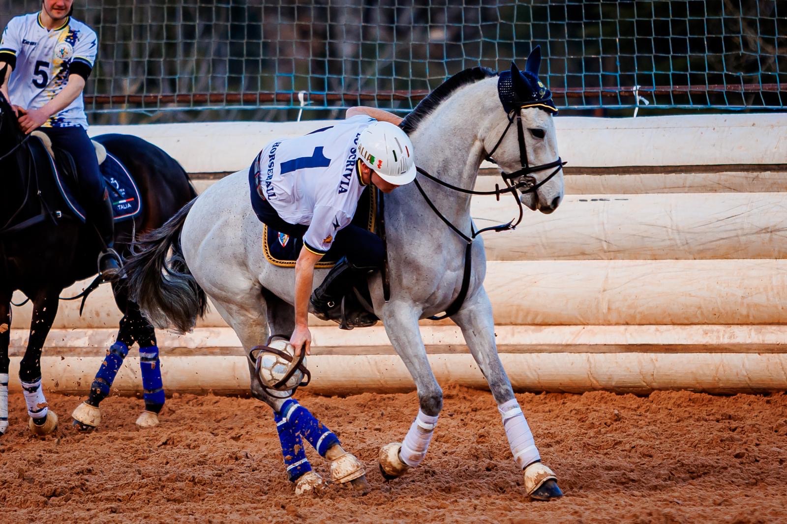 Coppa Italia di Horse-ball 2025: la parola ai capitani Luca Lanzi ed Elia Colombo 1 1c32121f 895b 405a 8810 03d5fdffb1a4