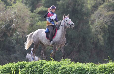 Ego Agylla, il giovane purosangue arabo del Fuxiateam,