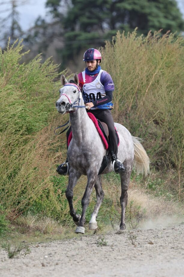 Ego Agylla, il giovane purosangue arabo del Fuxiateam, incoronato miglior “5 anni d’Italia”. 2 2025 Foto FrancoValeri su EgoAGYLLA vert