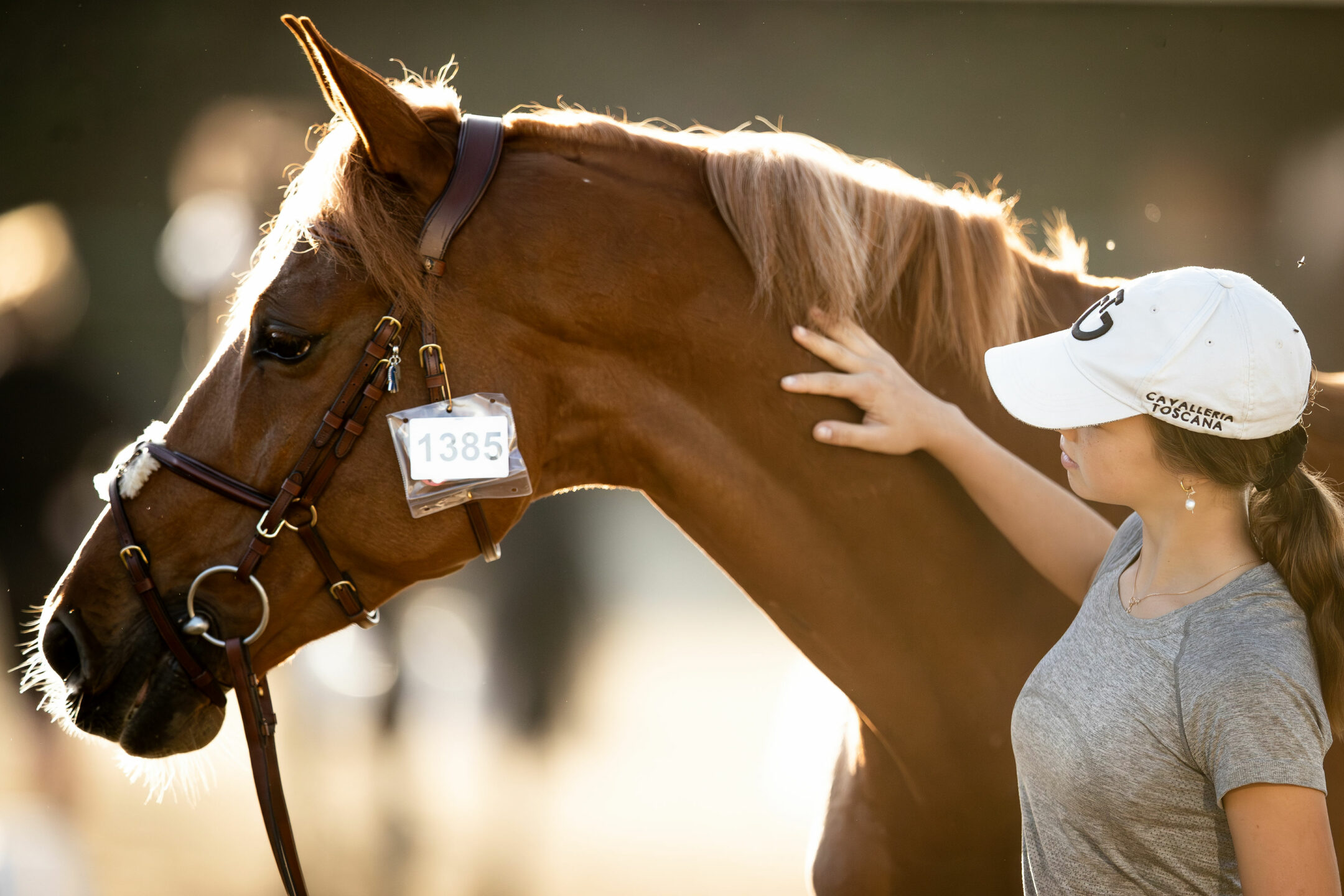 Nations Cup: l’Italia sarà la terza a scendere in campo allo CSIO3* di Vejer 1 221025OSST2 MClark 51