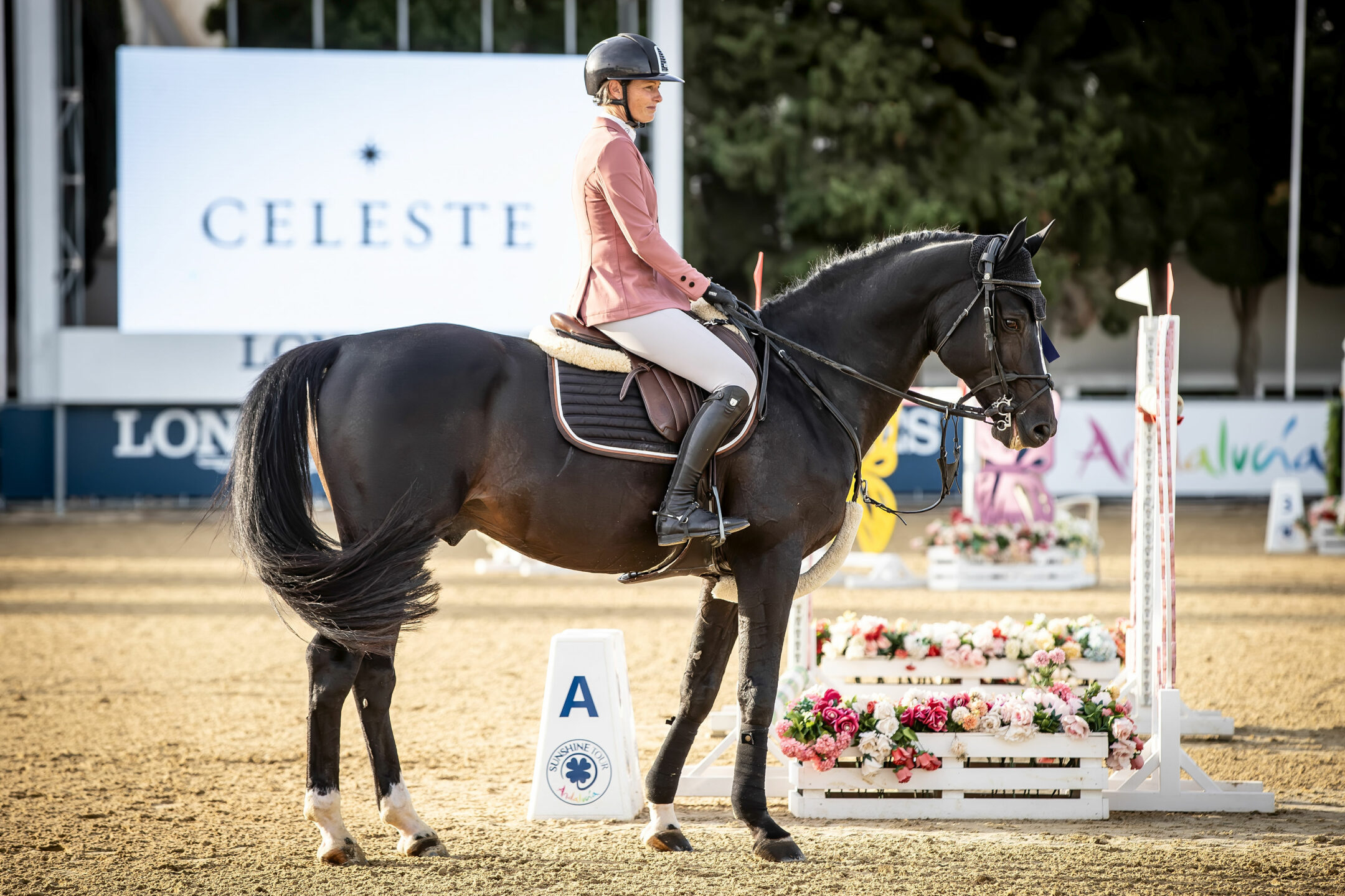 Marie Demotte - MC Clark Andalucia