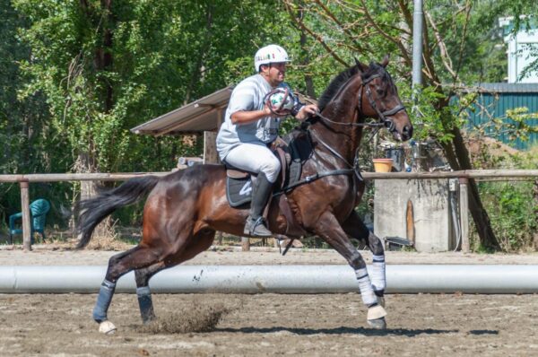 7f8b7cad 9a7c 411f 8bec 25989a950884