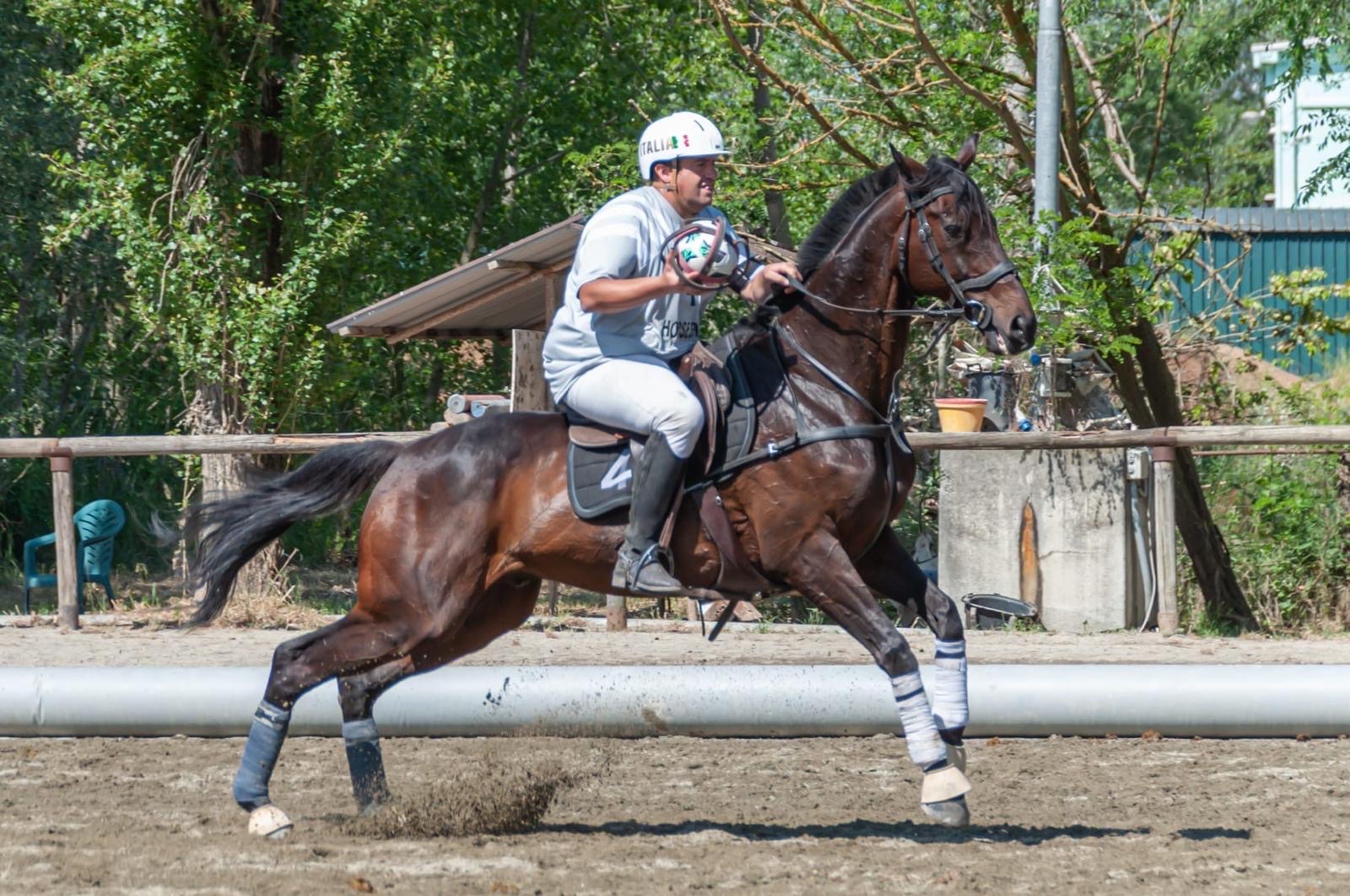 7f8b7cad 9a7c 411f 8bec 25989a950884