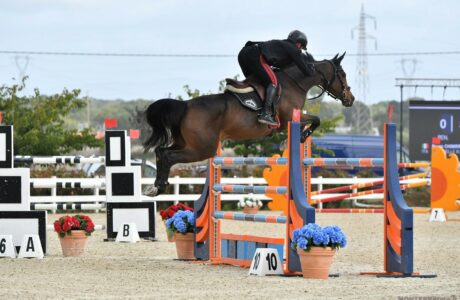 Al Sardegna Jumping Tour brillano non solo i Chimirri ma anche Luigi Angius, Giovanni Carboni e Antonio Meloni 1 Bruno Chimirri foto Corbinzolu 2