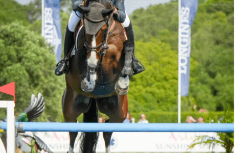 390 cavalieri e 420 cavalli in gara ai Campionati di Spagna 2025 a Montenmedio. 1 Spagna giovani cavalli Montenmedio 2025