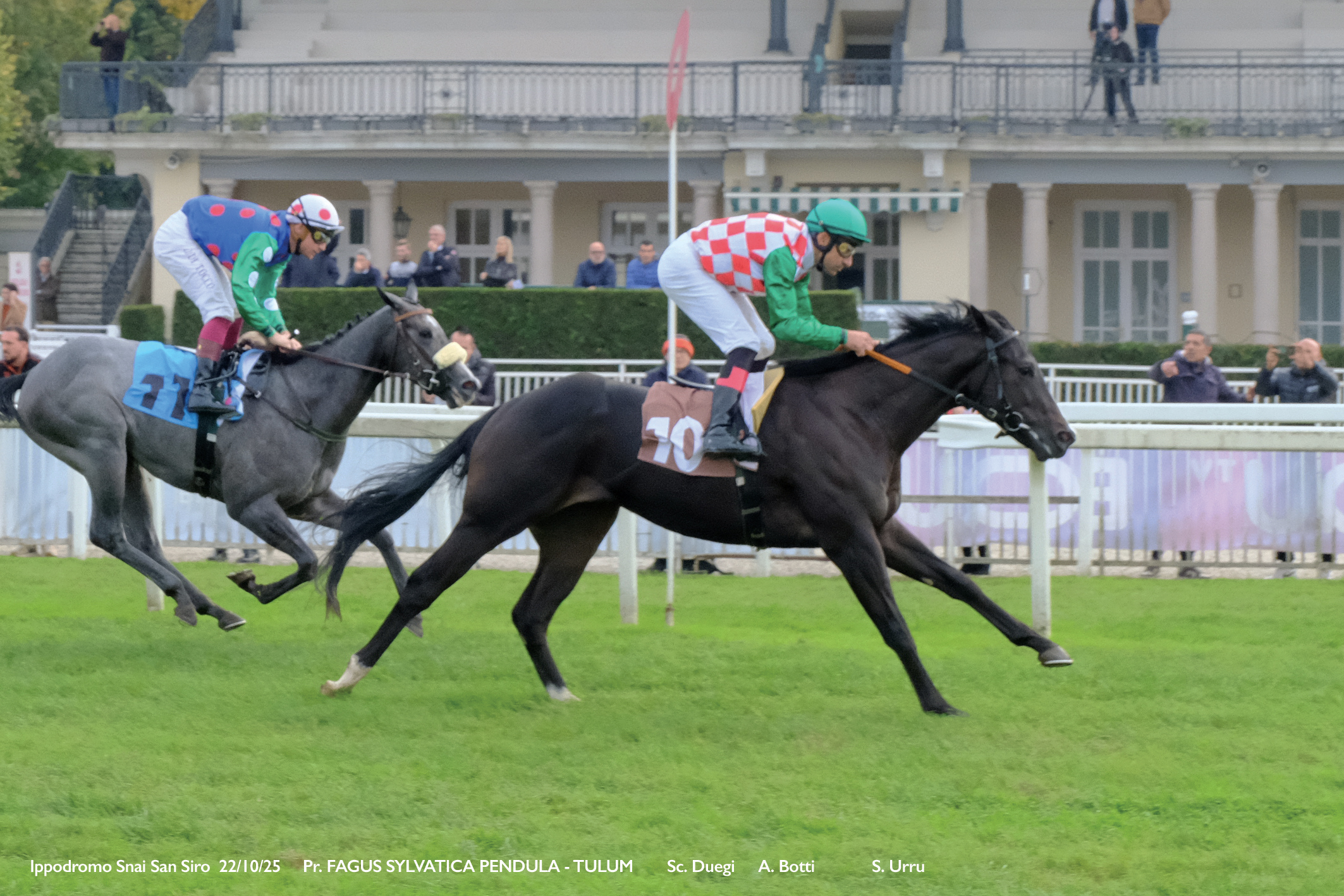 Galoppo a San Siro: Tulum e Pokera protagonisti del mercoledì milanese 1 Corsa2_PREMIO FAGUS SYLVATICA PENDULA