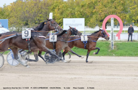 Corsa3_PREMIO GDC LOMBARDIA