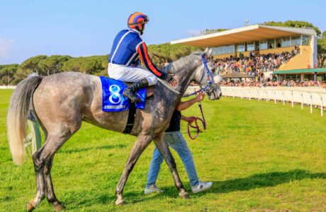 L’ippodromo di San Rossore riapre domenica 26 ottobre, prima giornata di una stagione che si rotrarrà fino a domenica 5 aprile 2026 quando si disputerà il 136° premio Pisa.