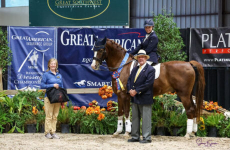 DRESSAGE USDF