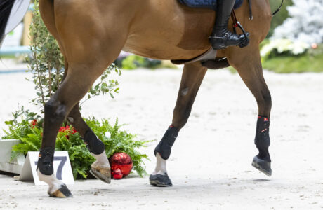 L’eccellenza equestre torna a Ginevra con tanto sport. 1 Geneve 2025 CHI Rolex