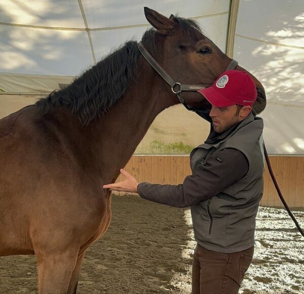Dr. Bartolomeo Cavina fisioterapista e osteopata veterinario